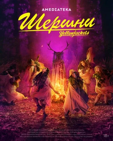 Смотреть Шершни 4 сезон онлайн бесплатно в HD качестве на русском языке